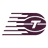 Toronto Tempo