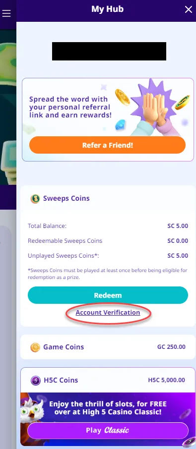 High 5 Casino account menu with the Account Verification option circled