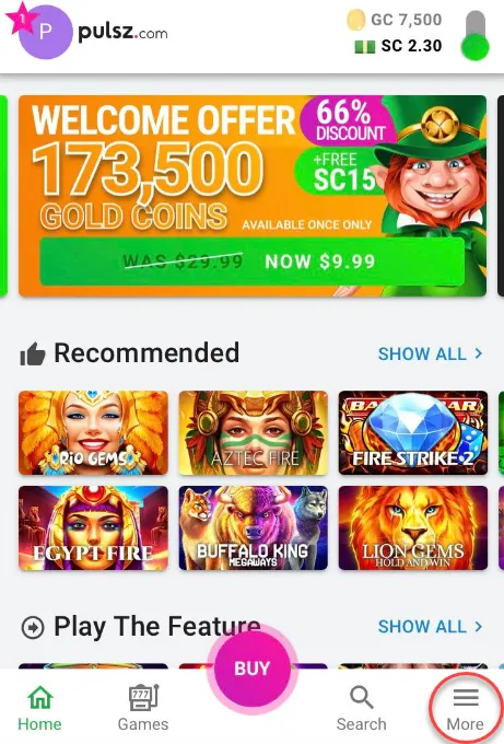 Pulsz Casino Verification Process
